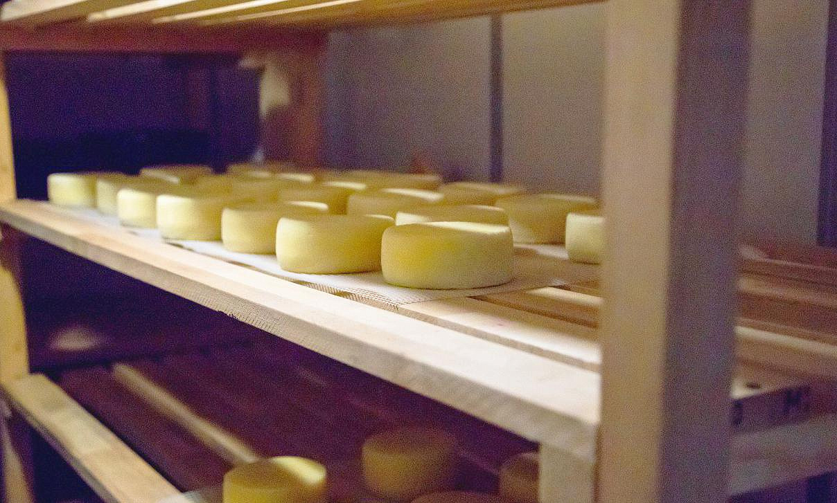 Фото: t.me/imameev