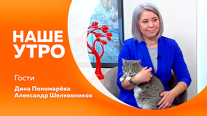 Наше утро. Какие правила нужно соблюдать, чтобы не допустить беды и не омрачить праздник, используя пиротехнику. Типичные опасности для четвероногих в новогодние праздники разберем с первой гостьей нашей студии. Как живут и работают спасатели.