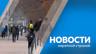 Новости короткой строкой. Двое мужчин погибли в неэксплуатируемой штольне возле поселка городского типа Токур. ДТП со смертельным исходом произошло на десятом километре трассы «Благовещенск – Свободный». Молодую косулю спасли в Свободном.