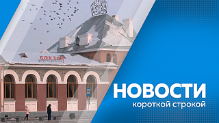 Новости короткой строкой. В правительстве обсудили перспективы развития дорог. Госдума приняла бюджет на 2026–2028 годы. В Приамурье запустили 18 точек бесплатного Wi-Fi. Белка у здания АОТВ облюбовала новую кормушку.