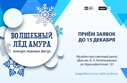 «Мост дружбы»: в Благовещенске создадут ледовые символы России и Китая