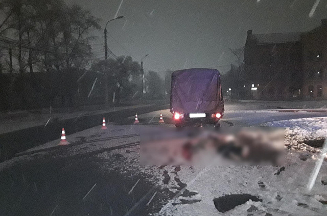 Пять лет за побег: полиция задержала виновника смертельного ДТП в Благовещенске