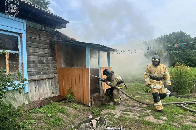 Четыре минуты до спасения: пожарные Тамбовки ликвидировали возгорание