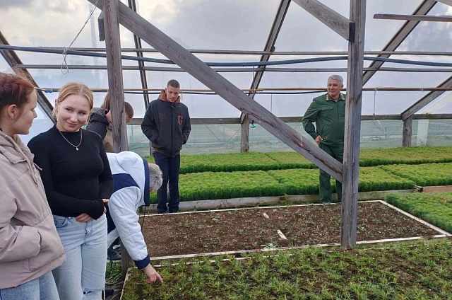Бурейское лесничество открыло двери для школьников из Родионовки
