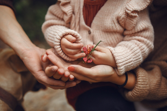 Студенческие семьи Приамурья получают три вида соцподдержки 