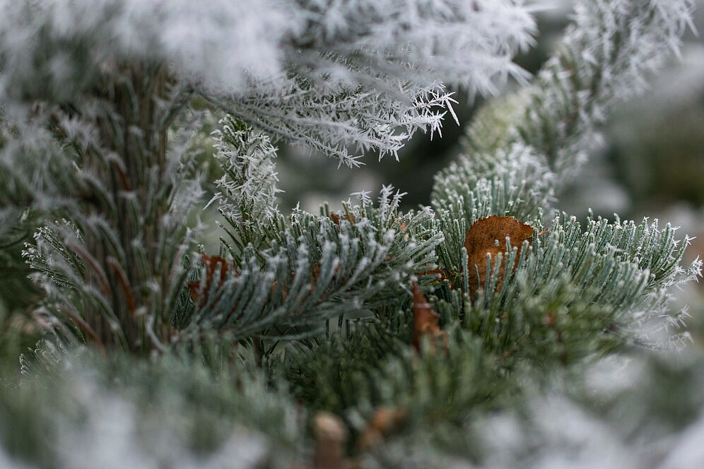 Фото: ru.freepik.com