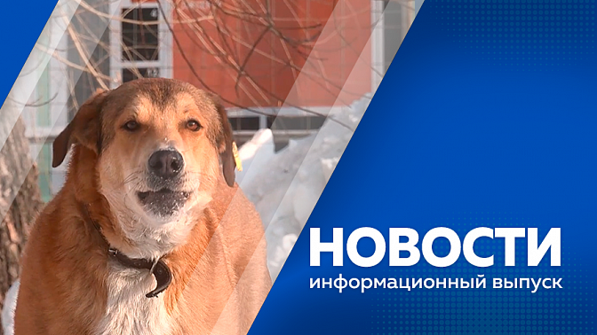 Новости. Режим повышенной готовности в связи с усилением ветра. С 1 марта россияне смогут устанавливать самозапрет на выдачу кредитов. Масленичная неделя. 