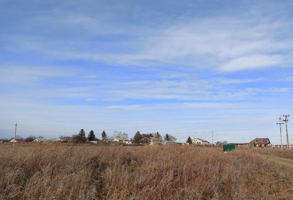 Фото: max.ru/id2801130929_gos