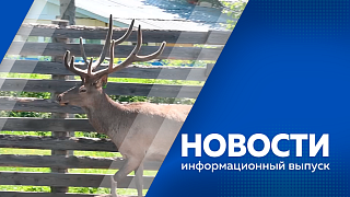 Новости. Почти 2 тысячи человек остались без электричества в Тамбовском округе. Василий Орлов обсудил с ветеранами СВО меры поддержки. Житель села Грибское превратил свою ферму в экопарк. 
