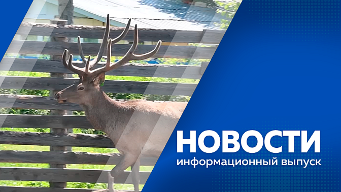 Новости. Почти 2 тысячи человек остались без электричества в Тамбовском округе. Василий Орлов обсудил с ветеранами СВО меры поддержки. Житель села Грибское превратил свою ферму в экопарк. 