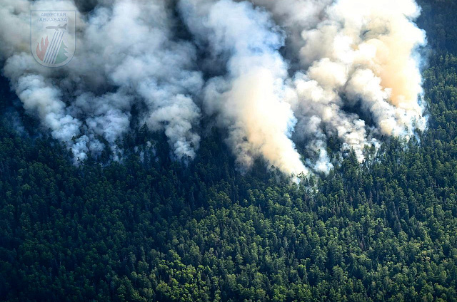В Приамурье на полдень вторника действуют 20 природных пожаров, пожар в Зейском заповеднике потушен