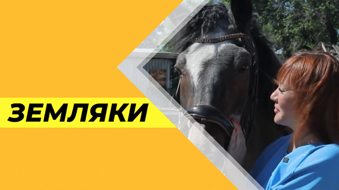 Земляки. Ирина Шишова, президент амурской федерации конного спорта, руководитель благовещенского ипподрома.