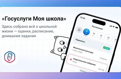 Амурским родителям рассказали о полезных функциях приложения «Госуслуги Моя школа»