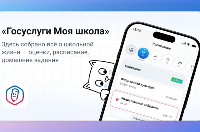 Амурским родителям рассказали о полезных функциях приложения «Госуслуги Моя школа»