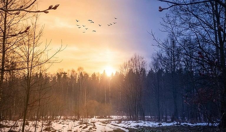 Фото: t.me/mpramur