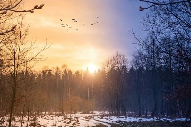 Свет и тьма поделили сутки поровну: в Приамурье наступил день весеннего равноденствия