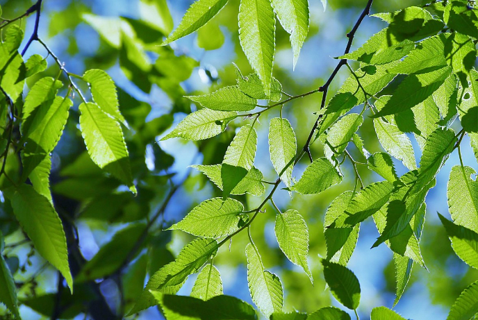 Фото: pxhere.com