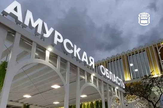 Фото: правительство Амурской области