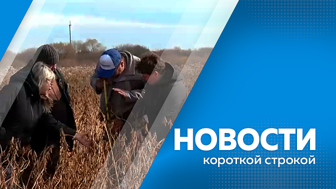 На север – только на зимней резине. Консультации от «Карьерного навигатора». Биотехнологии в соеводстве. Профилактика рака. Цифровой гид для туристов