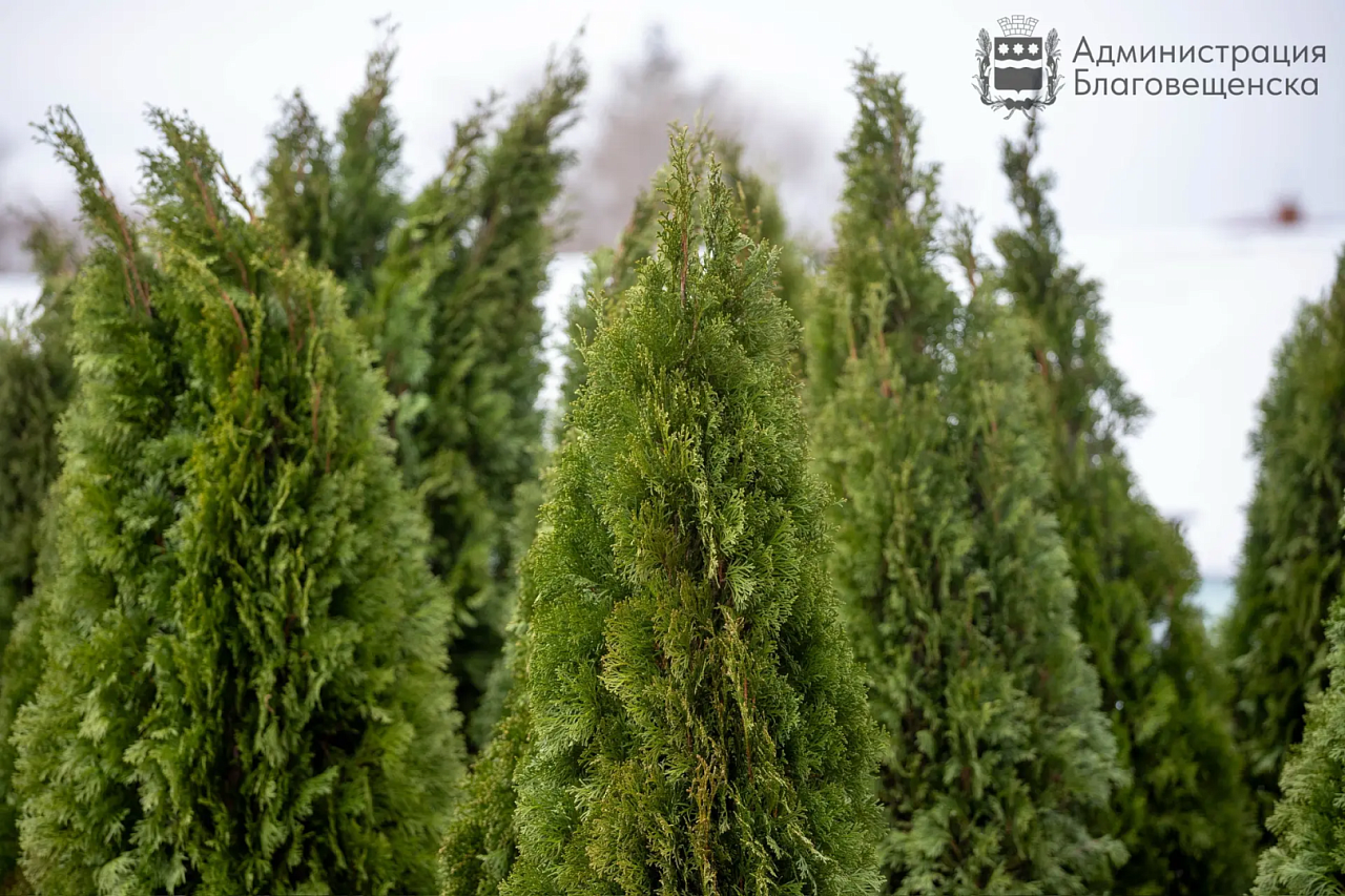 Фото: max.ru/blagoveshchensk_rf