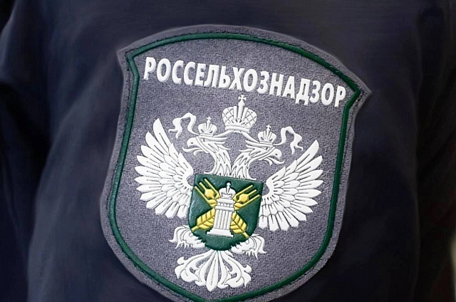 Около 400 тонн лекарственных растений Приамурье отправило в Китай в 2025 году
