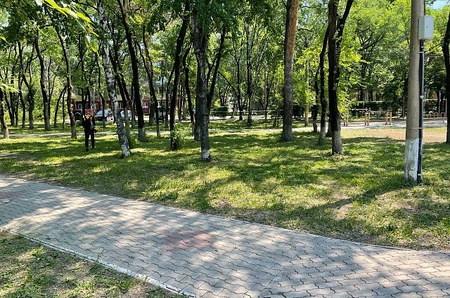 Сезон покоса травы стартовал в Благовещенске