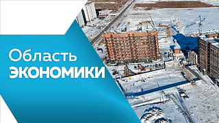 Область экономики. Амурская область лидирует на Дальнем Востоке по доступности базового набора продуктов. Жители Приамурья активно улучшают жилищные условия с помощью государственных программ. О ключевых показателях при экспортно-импортных операциях.