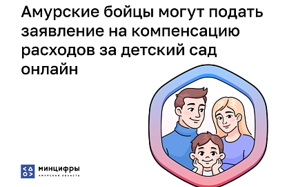 Амурские бойцы СВО могут подать заявление на компенсацию за детсад онлайн через Госуслуги