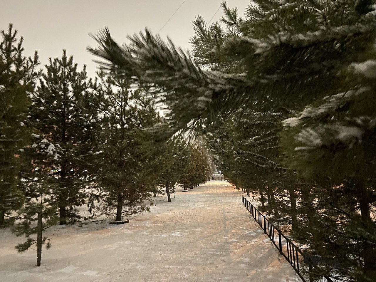 Фото: архив АОТВ