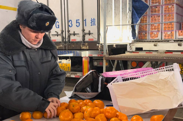 Поставки китайских мандаринов в Приамурье увеличились в 15 раз