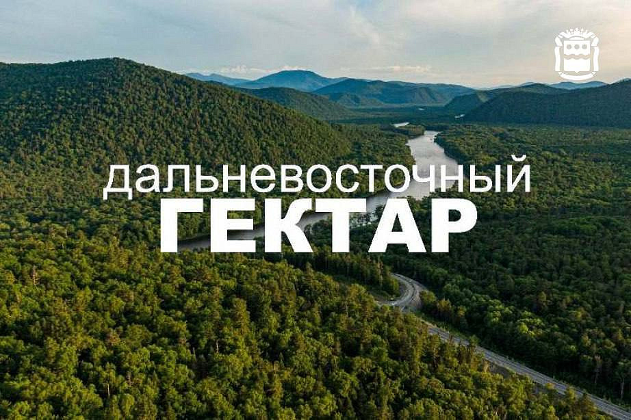 Фото: правительство Амурской области