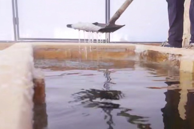 Комплекс для любителей зимнего плавания откроют на Амуре в районе пляжа Пограничный