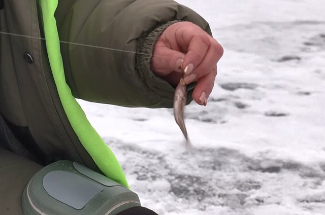 В Благовещенске прошёл чемпионат по рыбной ловле на мормышку со льда