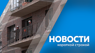 Новости короткой строкой. Практикум по антикризисному управлению. Новый глава амурского УФАС. Маткапитал вырастет. Мастер-классы для фигуристов и хоккеистов. Пожарно-тактические учения в Тамбовке.