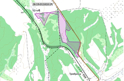 Пять сельхозучастков в четырёх округах Приамурья сдадут в аренду на аукционе 10 апреля