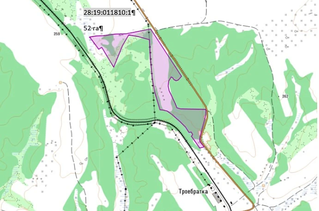 Пять сельхозучастков в четырёх округах Приамурья сдадут в аренду на аукционе 10 апреля