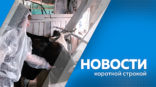 Новости короткой строкой. Выставка-конкурс «АмурТехно-2026». Бесплатный образовательный проект «Школа фермера». Сеть групп продленного дня для учеников 1–4 классов значительно расширили в амурских школах. Комплекс фотовидеофиксации против автохамов.