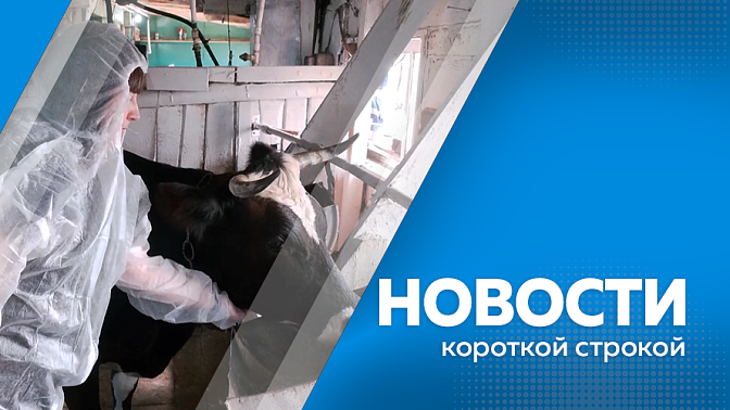 Выставка-конкурс «АмурТехно-2026». Бесплатный образовательный проект «Школа фермера». Сеть групп продленного дня для учеников 1–4 классов значительно расширили в амурских школах. Комплекс фотовидеофиксации против автохамов.