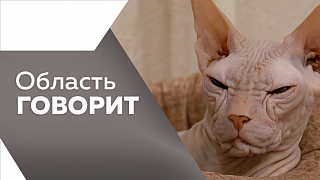 Область говорит. Эффективность деятельности руководителей муниципалитетов нашего региона можно оценить на портале «Открытый регион. Амурская область». 150 тысяч рублей за победу в конкурсе «Город в праздничном наряде» могут получить жители Благовещенска. 