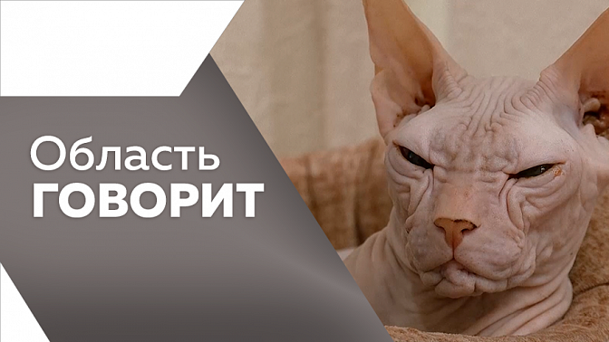 Область говорит. Эффективность деятельности руководителей муниципалитетов нашего региона можно оценить на портале «Открытый регион. Амурская область». 150 тысяч рублей за победу в конкурсе «Город в праздничном наряде» могут получить жители Благовещенска. 