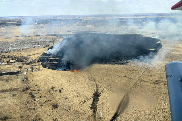 В 17 муниципалитетах Приамурья для наблюдения за пожароопасной обстановкой создано 70 наблюдательных постов