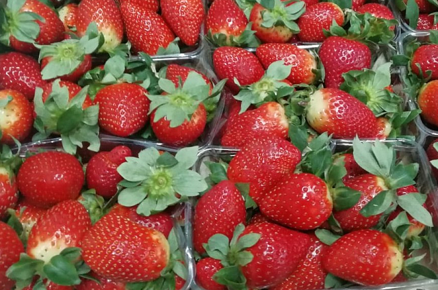 Зарубежные ягоды и цветы в Приамурье ввозят с помощью непрямого импорта