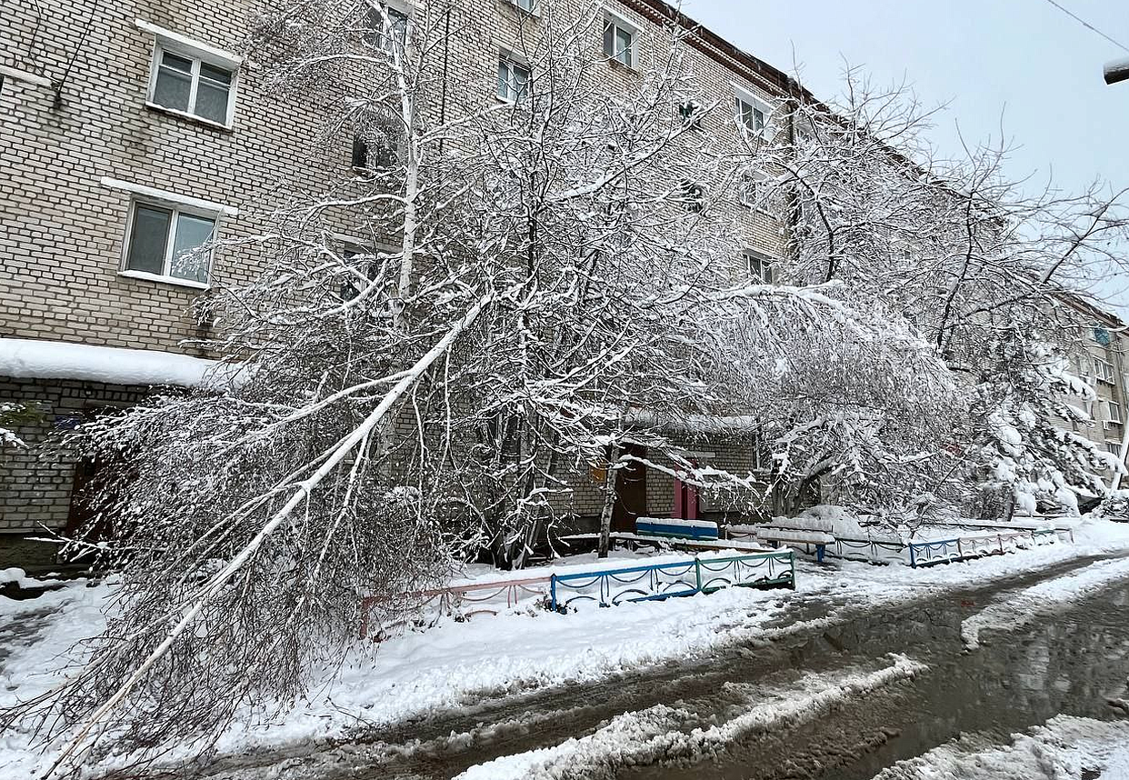 Фото: Teleram-канал главы Магдагачинского района Андрея Горюнова