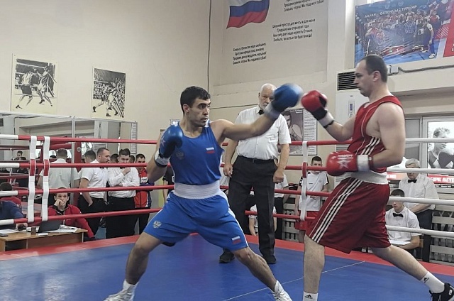 Чемпионат и первенство по боксу собрали сотню спортсменов в Амурской области 