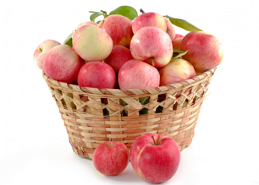 Фото: pxhere.com