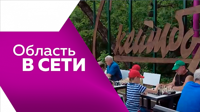 Область в сети. Десяток змей на мосту в Белогорском округе, большой спортивный праздник в Тынде, музобразие в Благовещенске.