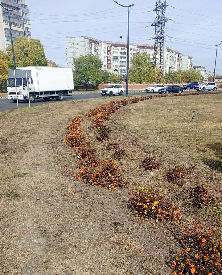 Фото: администрация Благовещенск