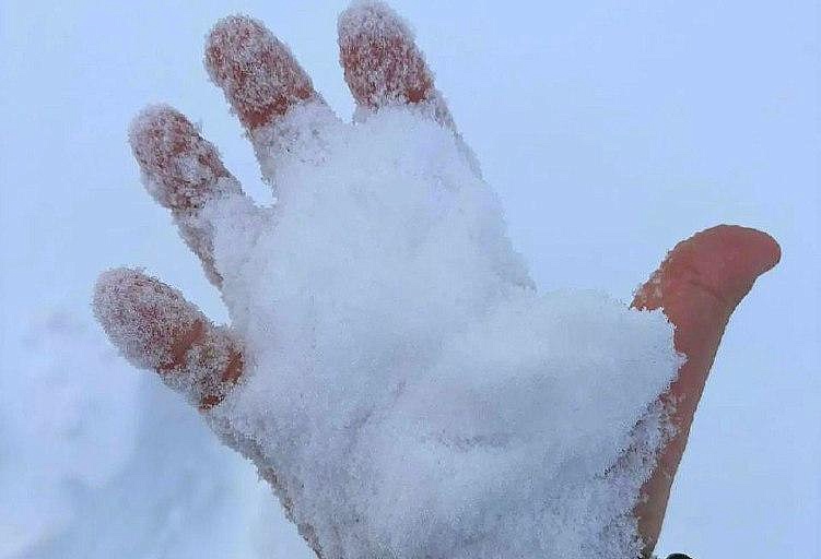 Фото: министерство здравоохранения Амурской области