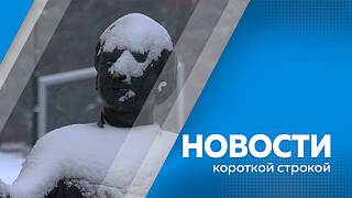 Новости короткой строкой. Более 300 семей получат до 1 млн на ипотеку. Амурчане оформили свыше 1 тыс. дальневосточных гектаров. В Благовещенске открыто более 20 ёлочных базаров. На "Восточный" доставили два спутника для космической съёмки.
