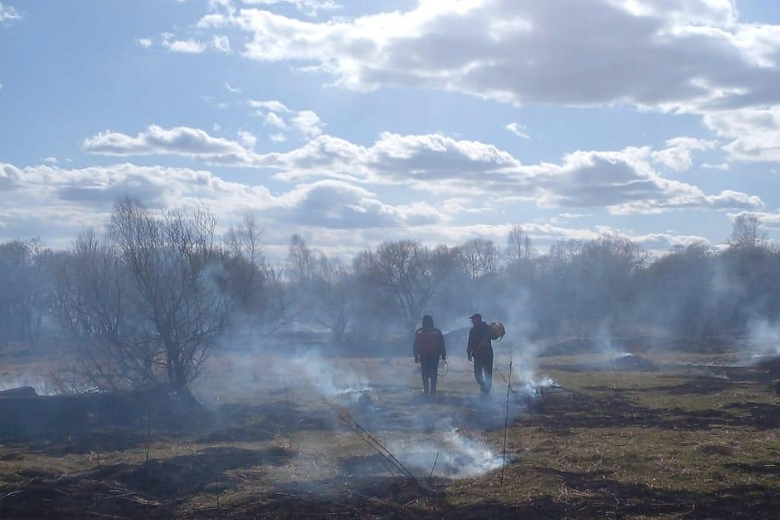 Фото: министерство лесного хозяйства Амурской области